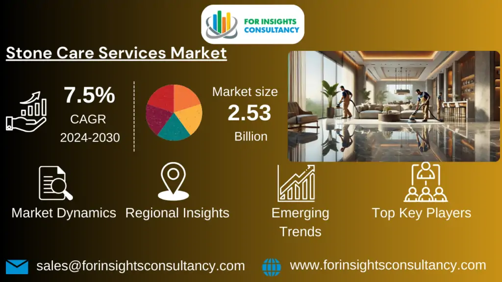 Mercado de servicios de cuidado de piedras | Para consultoría de conocimientos