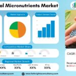 Agricultural Micronutrients Market Size, Share & Forecast 2034 | Global Industry Report