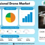 Professional Drone Market Report: Trends, Growth & Industry Outlook