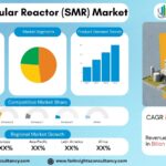 Small Modular Reactor (SMR) Market Analysis: Size, Share & Forecast 2034